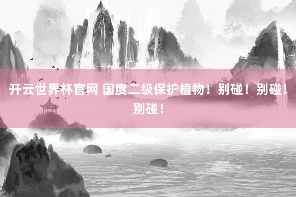 開云世界杯官網(wǎng) 國度二級(jí)保護(hù)植物！別碰！別碰！別碰！