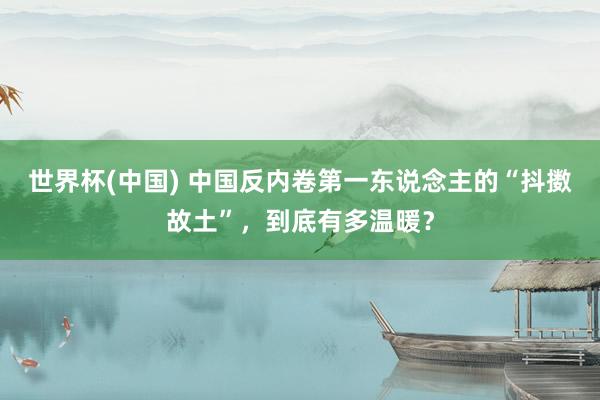 世界杯(中國(guó)) 中國(guó)反內(nèi)卷第一東說(shuō)念主的“抖擻故土”，到底有多溫暖？