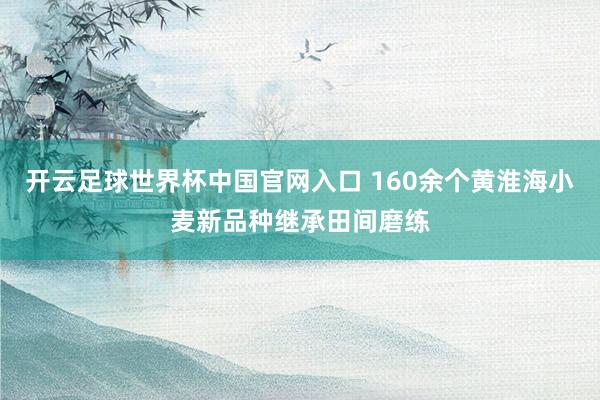開云足球世界杯中國官網入口 160余個黃淮海小麥新品種繼承田間磨練