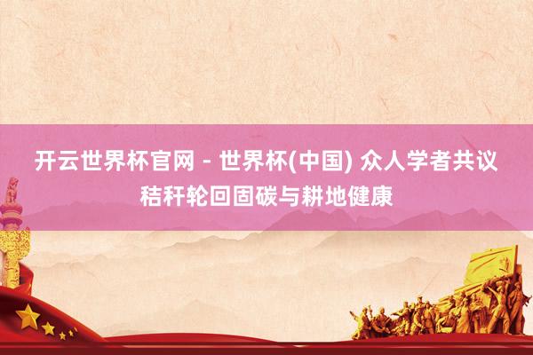 開云世界杯官網 - 世界杯(中國) 眾人學者共議秸稈輪回固碳與耕地健康