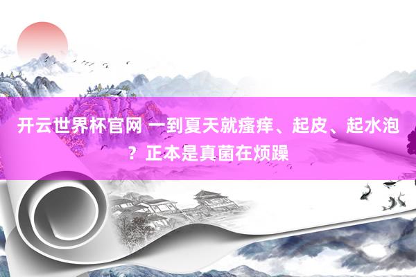 開云世界杯官網(wǎng) 一到夏天就瘙癢、起皮、起水泡?正本是真菌在煩躁