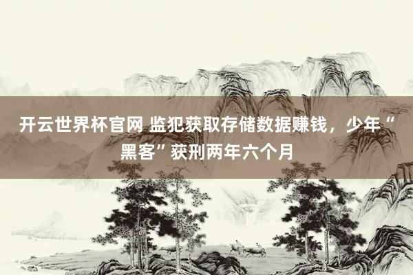 開云世界杯官網(wǎng) 監(jiān)犯獲取存儲(chǔ)數(shù)據(jù)賺錢，少年“黑客”獲刑兩年六個(gè)月