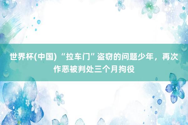 世界杯(中國) “拉車門”盜竊的問題少年,再次作惡被判處三個月拘役