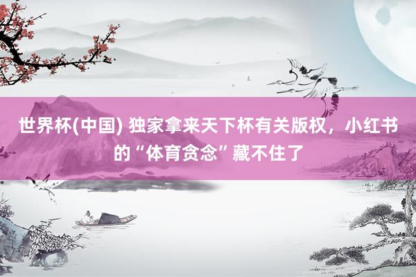 世界杯(中國) 獨家拿來天下杯有關版權,小紅書的“體育貪念”藏不住了